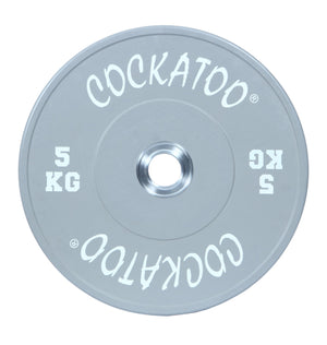 COMPETITION BUMPER PLATES WITH HUB ( 3 YEARS WARRANTY ) (Pair)