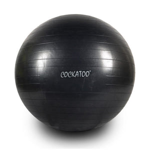 Gym Ball - 95 Cms.