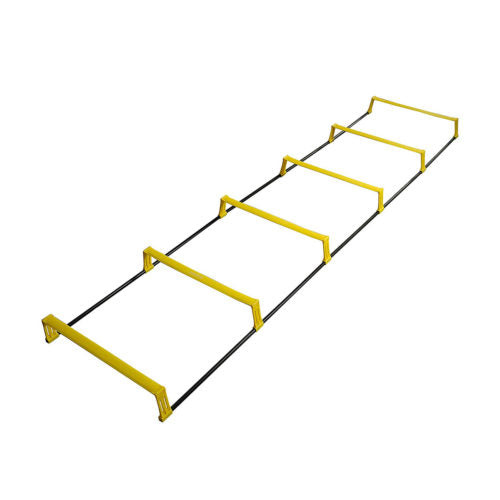 Cockatoo Agility Ladder - 2 Mtr.