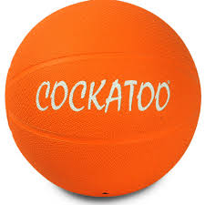 Cockatoo Weighted Medicine Ball - detail shot