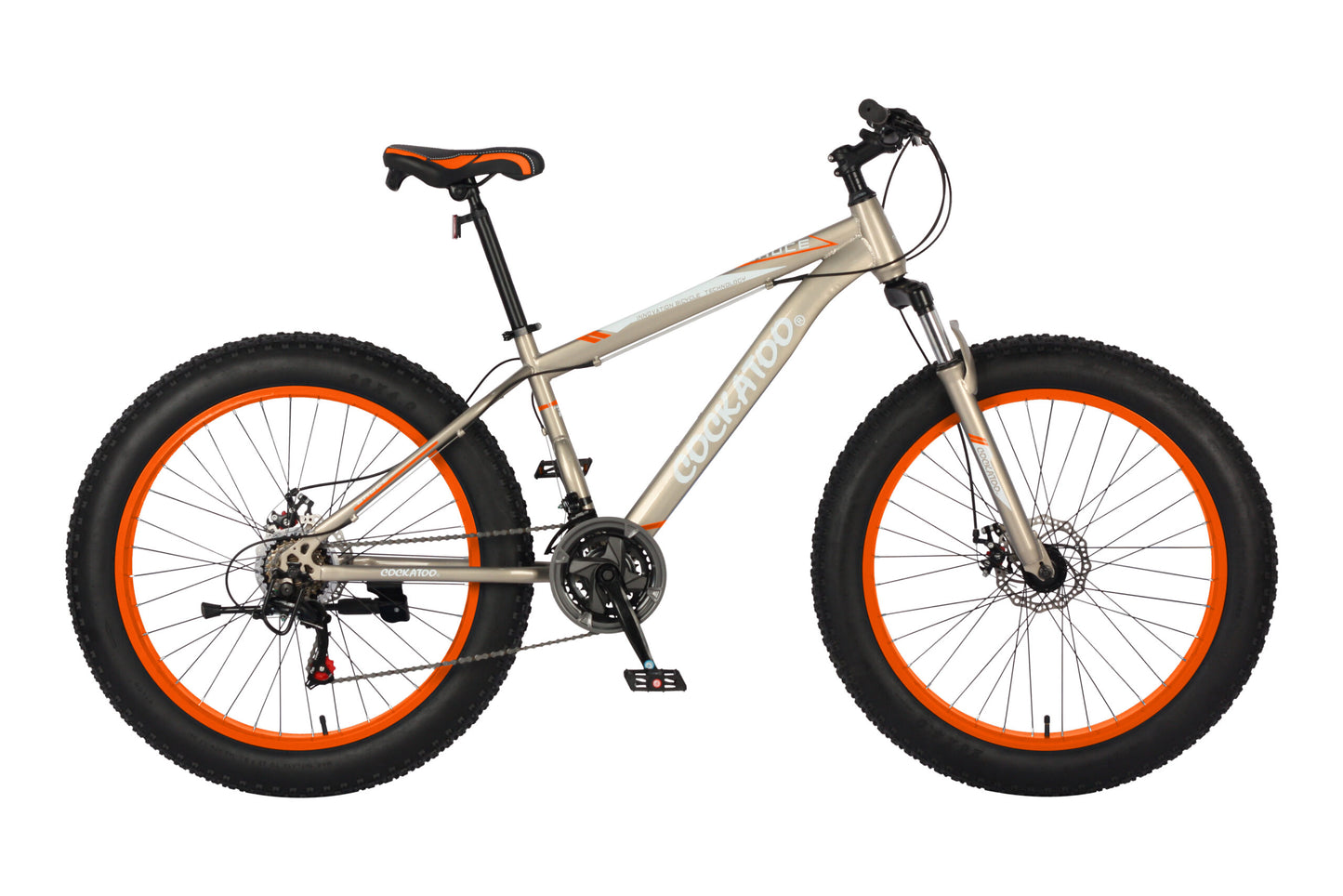 FAT BIKE - CFB 02